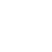 bluefinacademyicoon4-fleschampagne.png